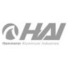 Hammerer Aluminium Industries GmbH